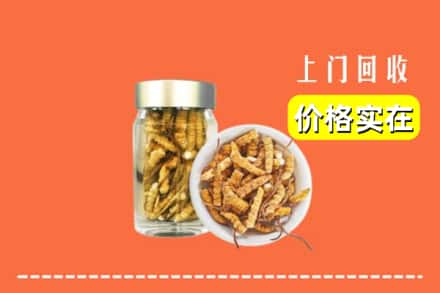 蚌埠市怀远回收散虫草