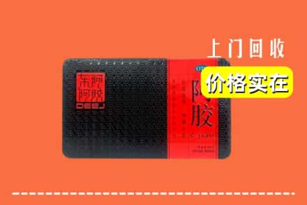 蚌埠市怀远回收阿胶